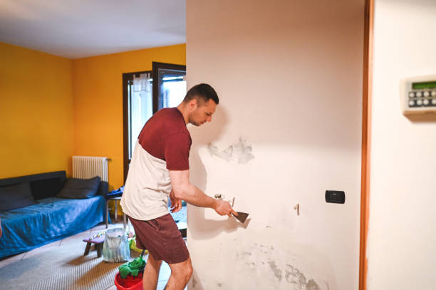 Best Office Mold Removal Services  in St Anne, IL